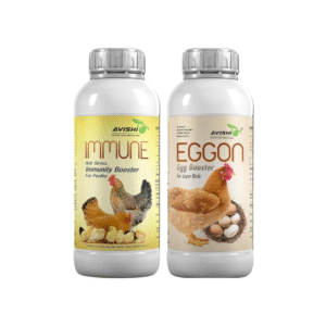 Layer Birds Egg Booster