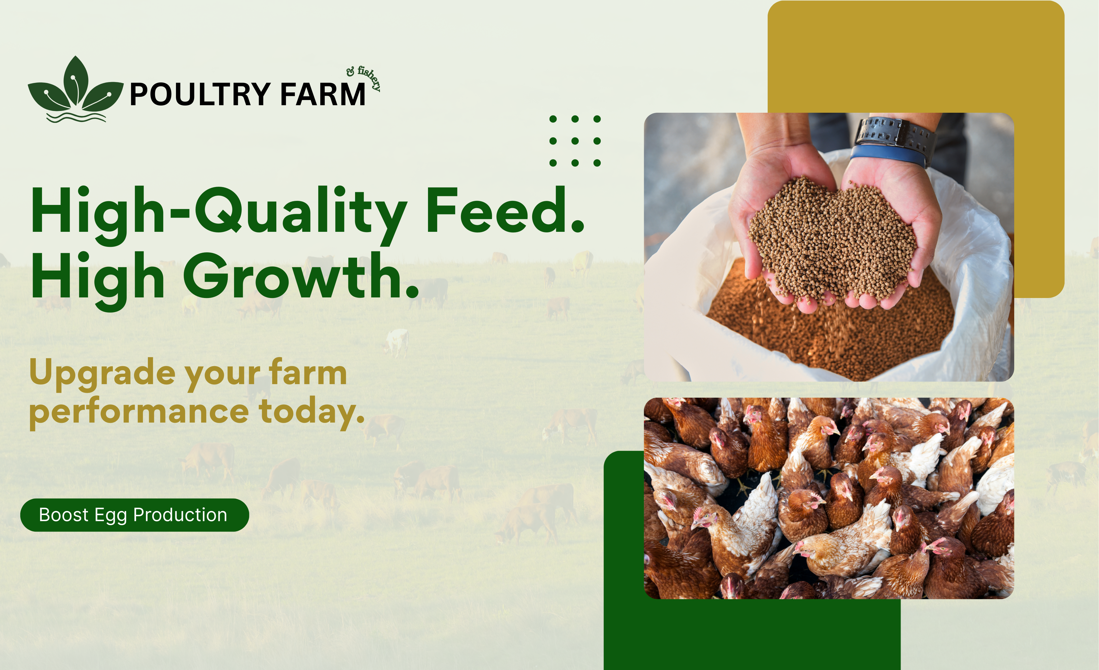 High-Quality Feed. High Growth.